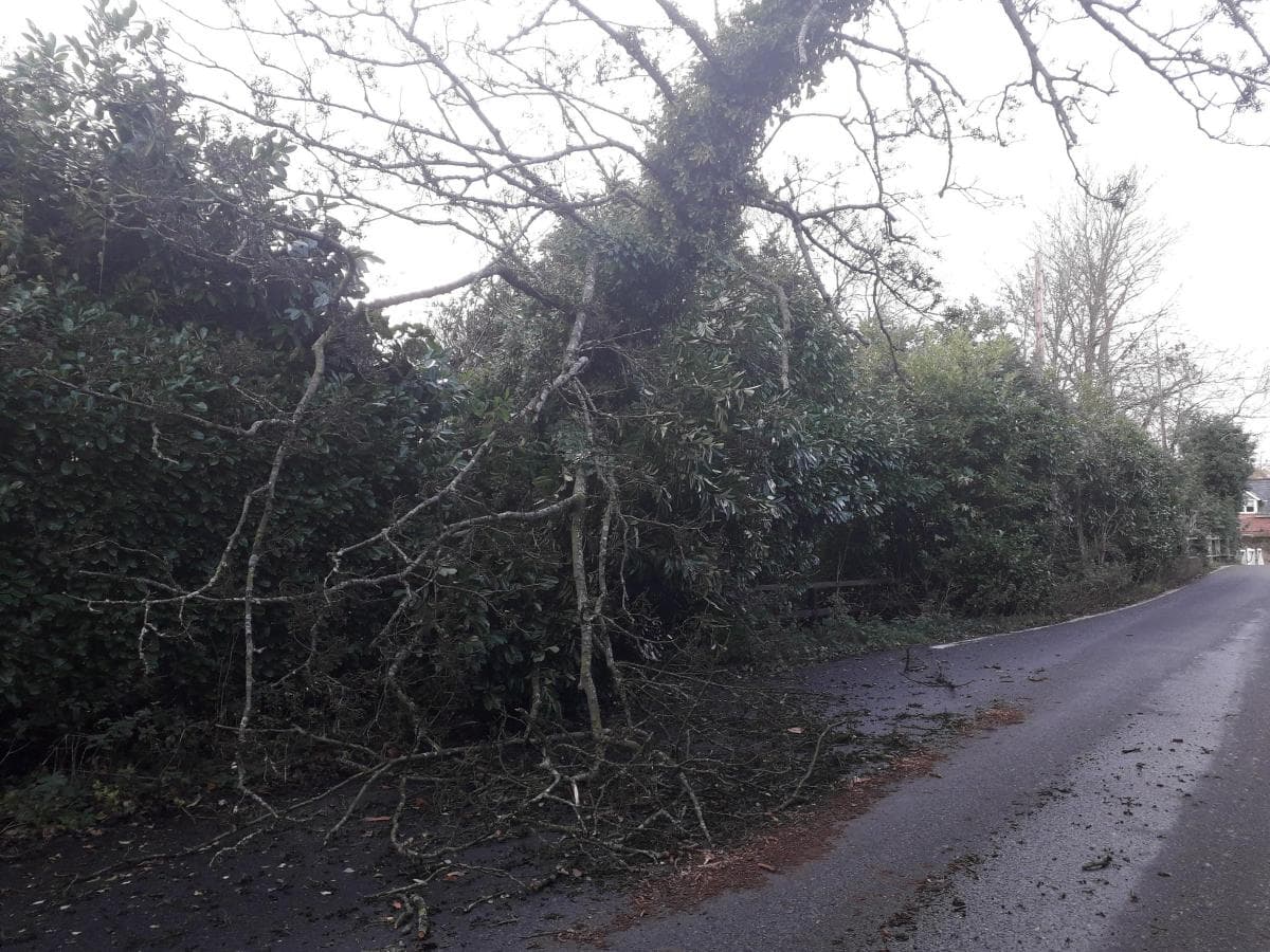 Wind chaos as Storm Diana brings 80mph winds to Hampshire
