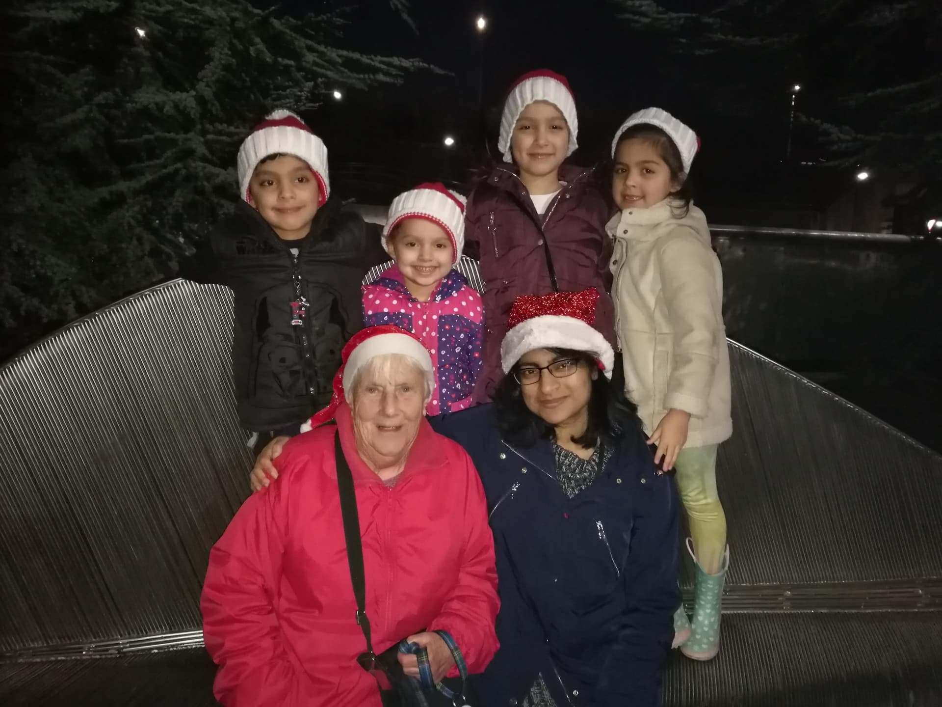 PHOTOS: Communicare Tree of Light switch-on in Woolston