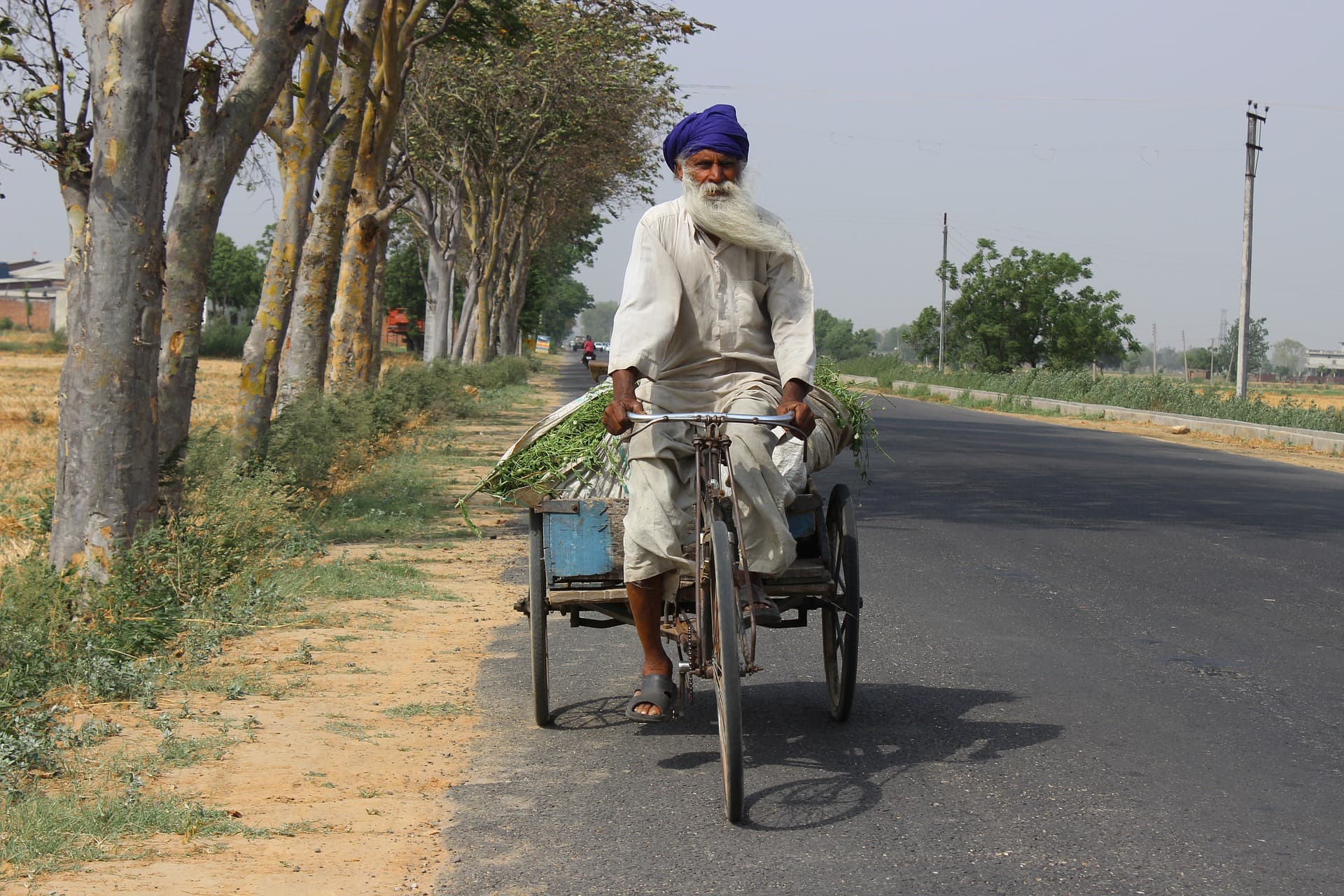 Our Top 8 Facts about the Punjab!